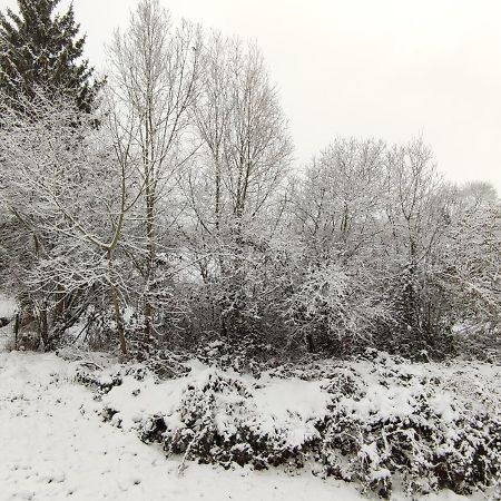 Gite Les Eylauds Pionsat Buitenkant foto